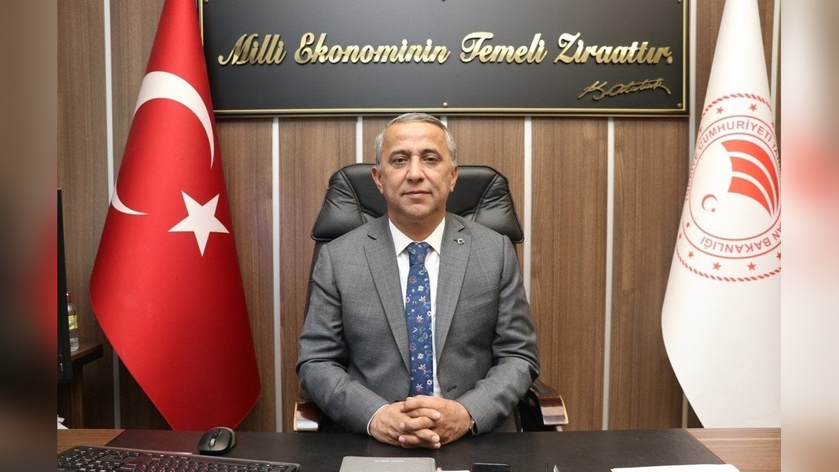 Samsun İl Tarım ve Orman Müdürü Sağlam'dan fındık üreticilerine kahverengi kokarca uyarısı