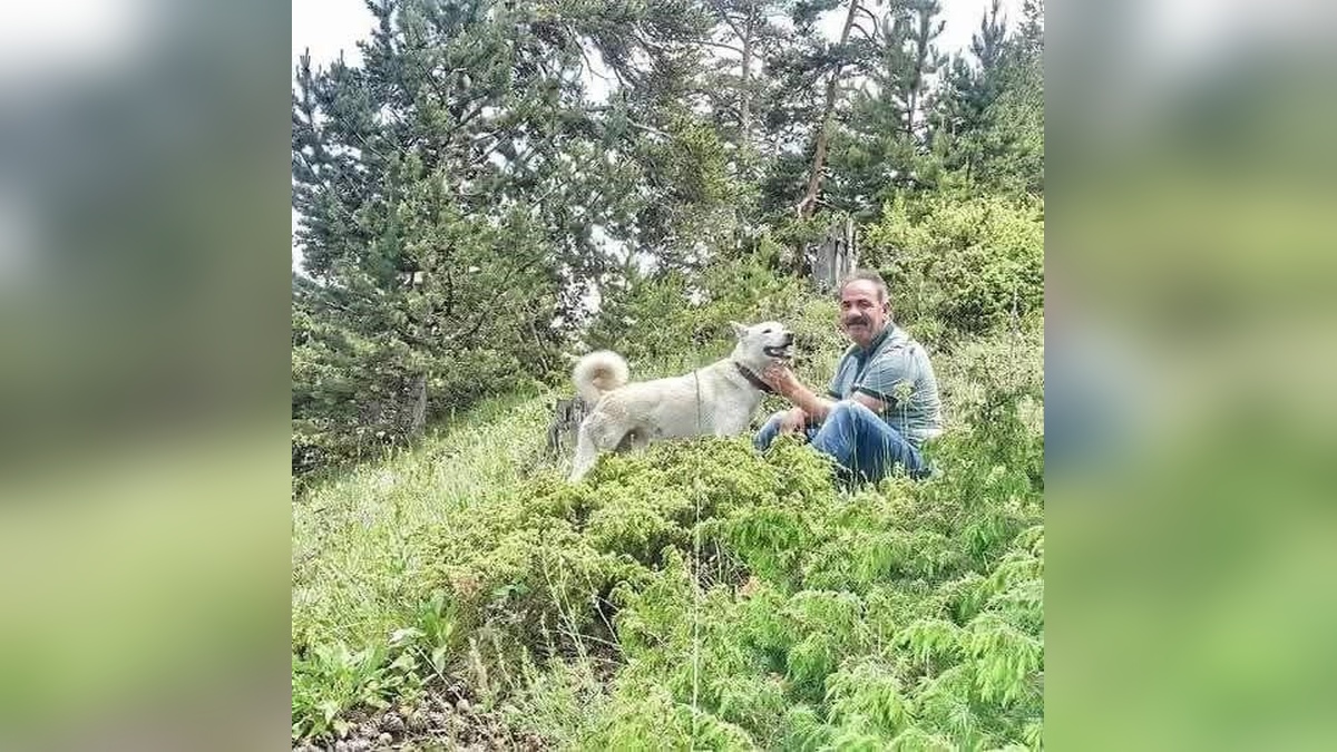 Alanya'da kamyon ile damper arasında sıkışan şoför hayatını kaybetti