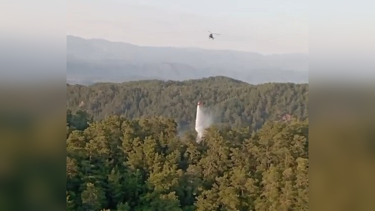 Muğla ve Aydın'da üç orman yangını büyümeden söndürüldü