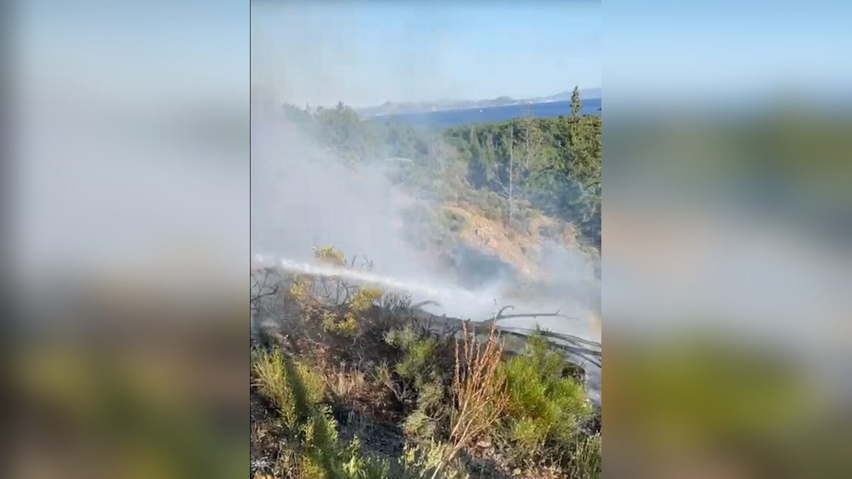 Muğla ve Aydın'da 3 orman yangını kontrol altına alındı