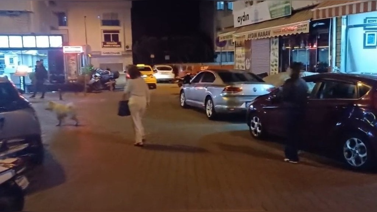 Muğla Valiliği'nden deprem açıklaması: Olumsuz bir durum yok