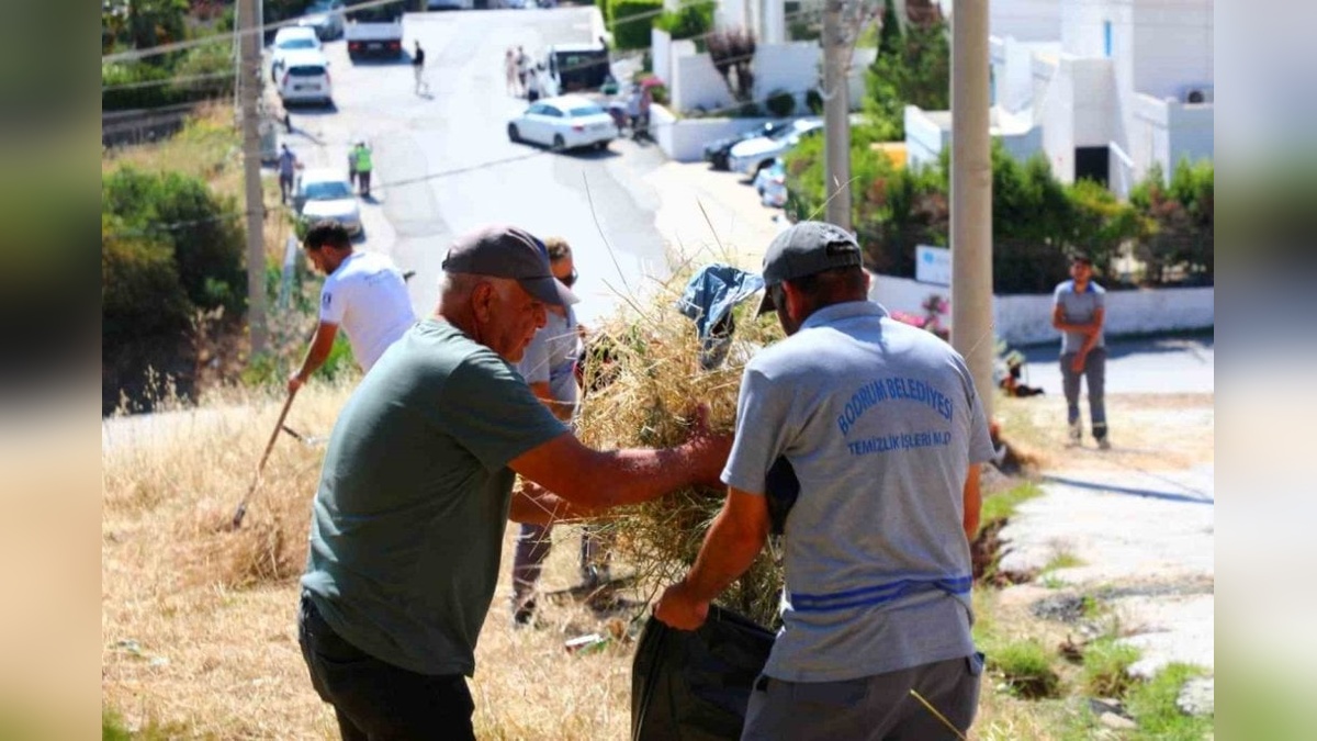 Bodrum Belediyesi'nden Akyarlar Mahallesi'nde ot temizliği