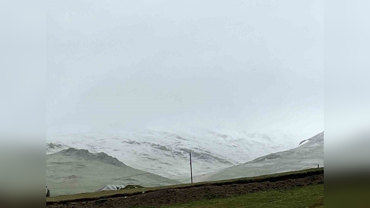 Gümüşhane'de haziran ayında kar yağışı: Yüksek rakımlı yaylalar beyaza büründü
