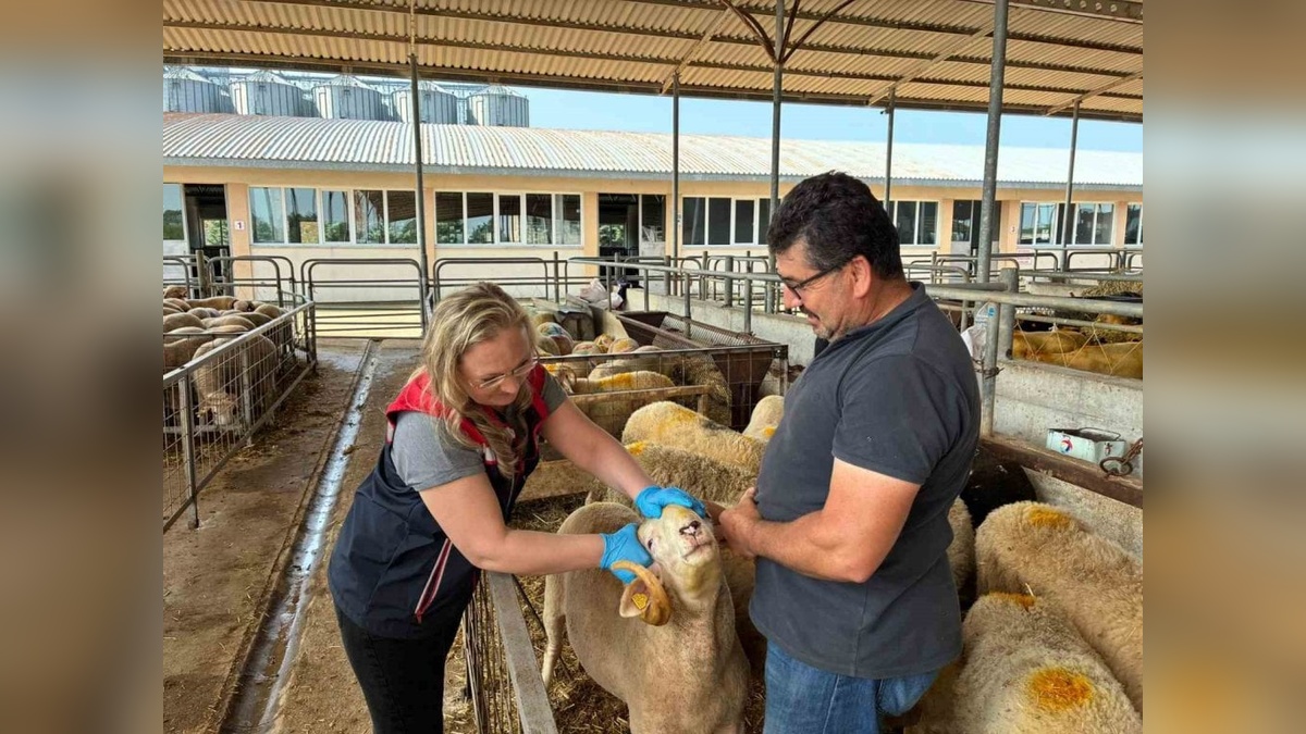 Edirne'de Kurban Bayramı öncesi denetimler arttırıldı