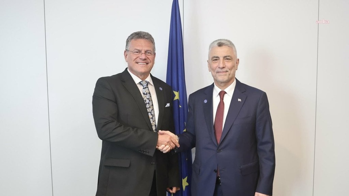 Bakan Bolat, AB Komisyoneri Sefcovic ile görüştü