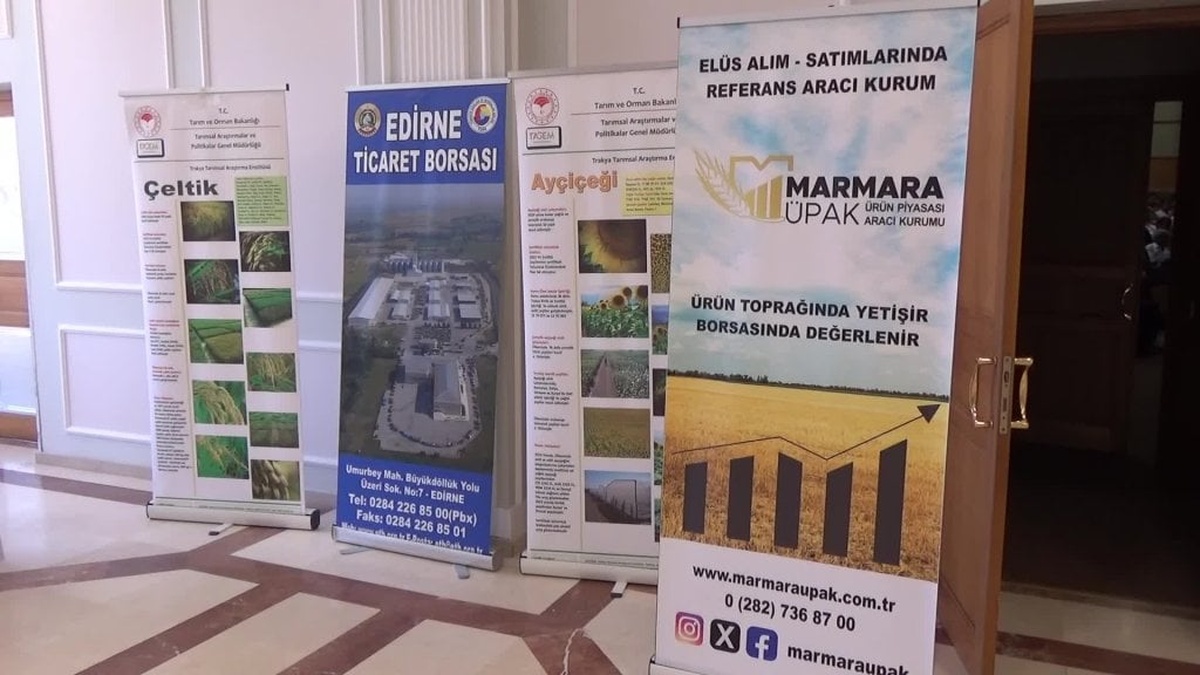 Edirne'de 720 bin ton buğday rekoltesi bekleniyor