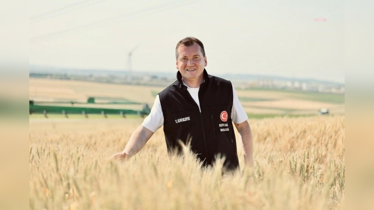 Silivri Belediyesi'nden bin 600 dönüm buğday hasadı: İhtiyaç sahiplerine un olarak dağıtılacak