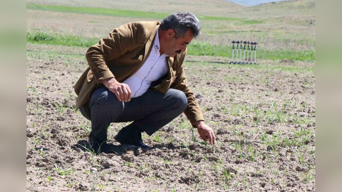 Ağrı'nın Diyadin ilçesinde Boyalan köyü tarım ve hayvancılıkta üretimi artırıyor