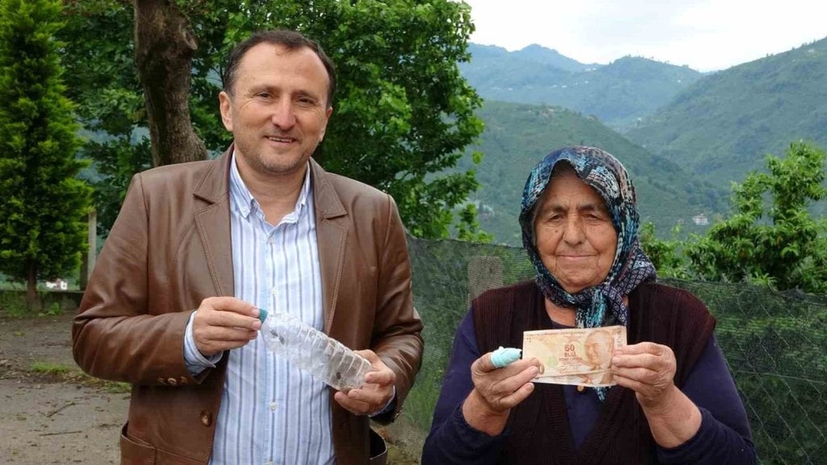 Ordu'da kahverengi kokarca avı: Tanesi 1 TL'den alınıyor