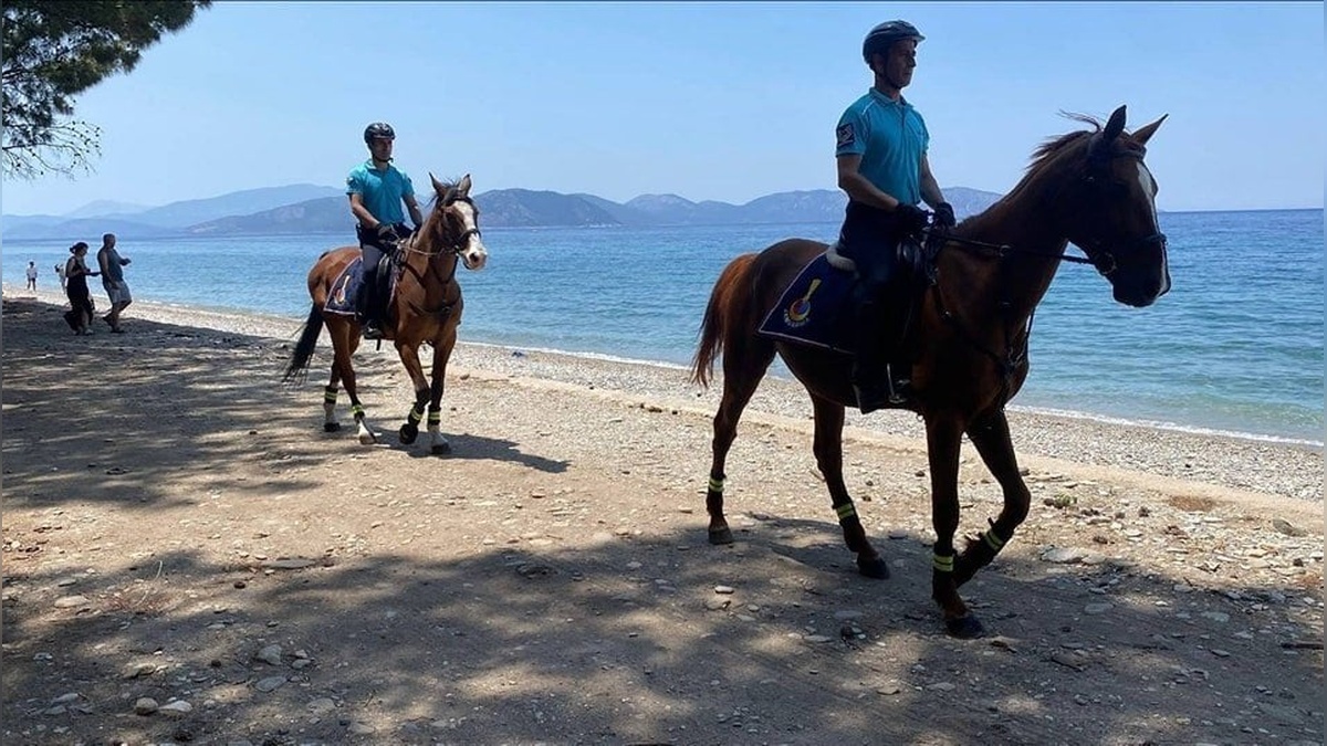 Kuşadası Dilek Yarımadası Milli Parkı'nda atlı jandarma timi göreve başladı