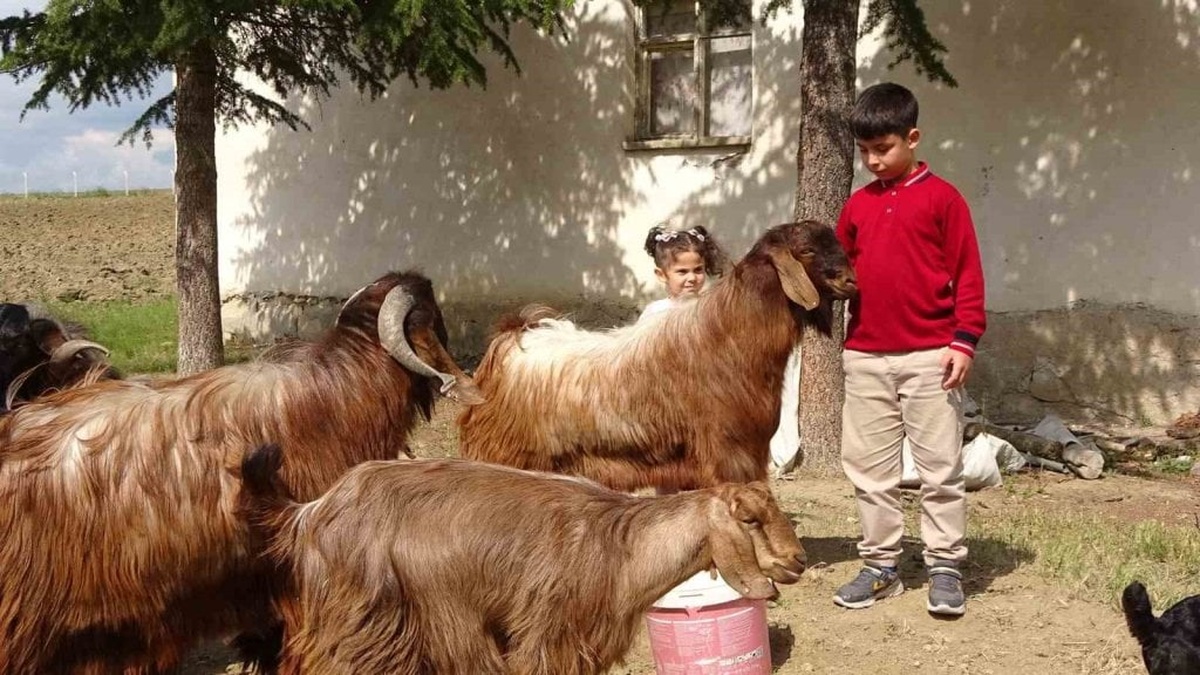 Yozgatlı Emir Ali Dişlioğlu, bursluluk sınavında 500 tam puan aldı