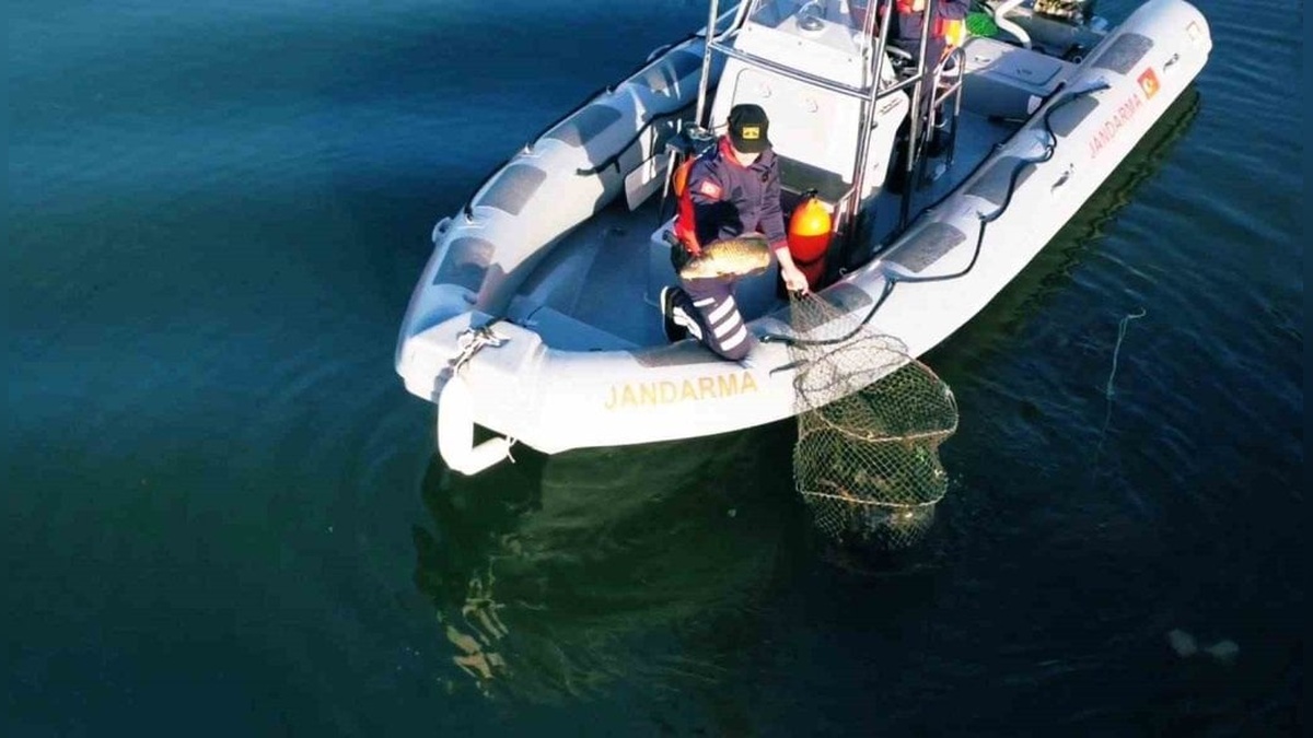 Uluabat Gölü'nde 3 şahsa 52 bin 380 lira ceza: 346 kilogram sazan balığı göle bırakıldı