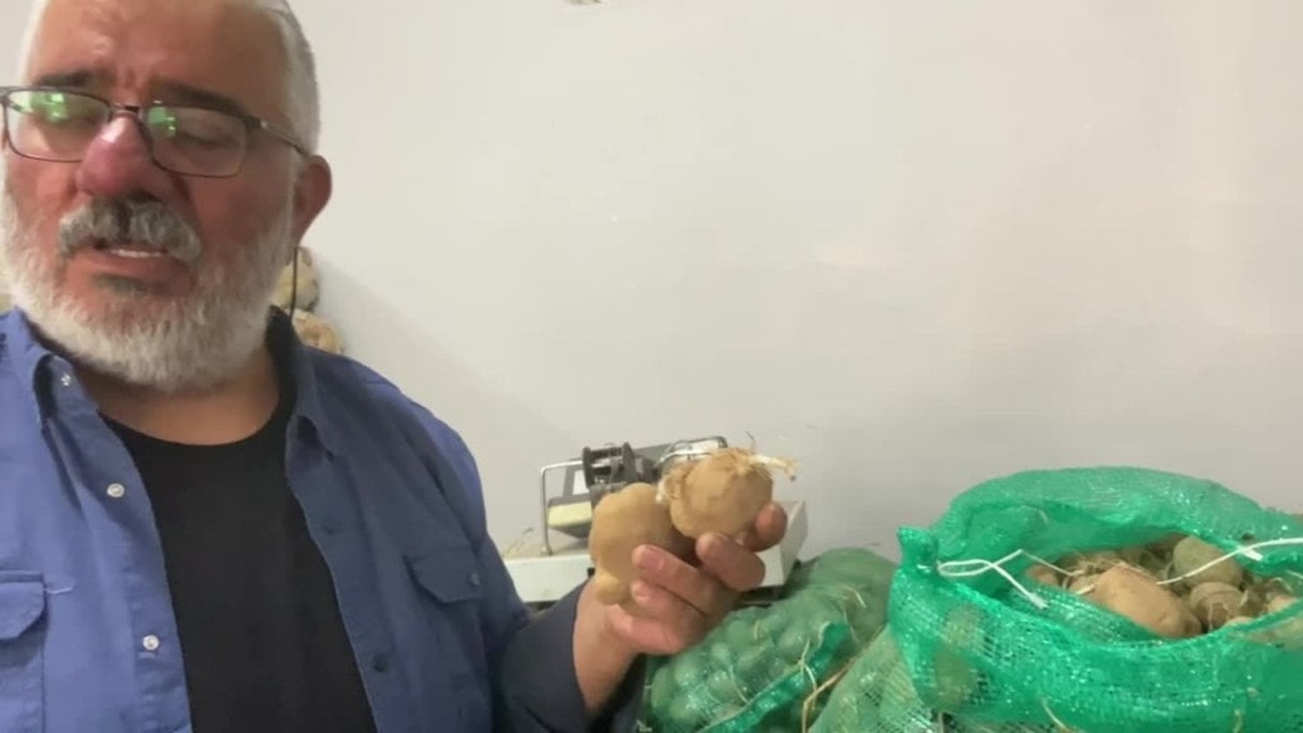 Ardahan'da patates üreticisi Çimli isyan etti: 60 ton tohum elimde kaldı