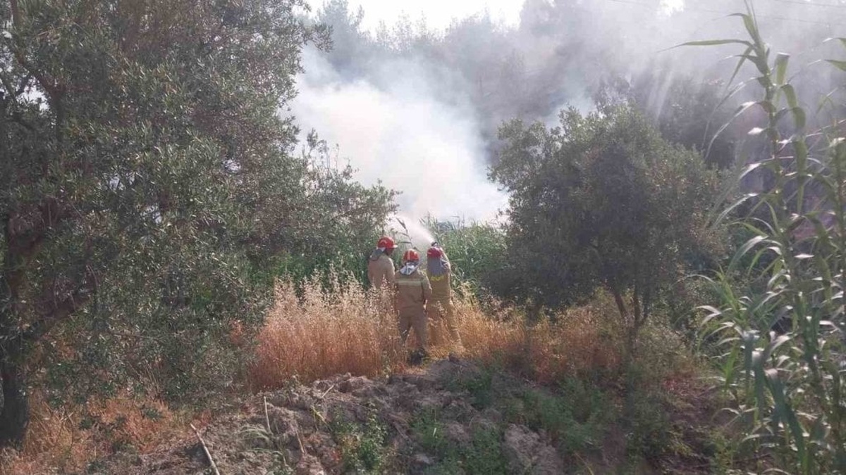 Mersin'in Mut ilçesinde yangın kontrol altına alındı