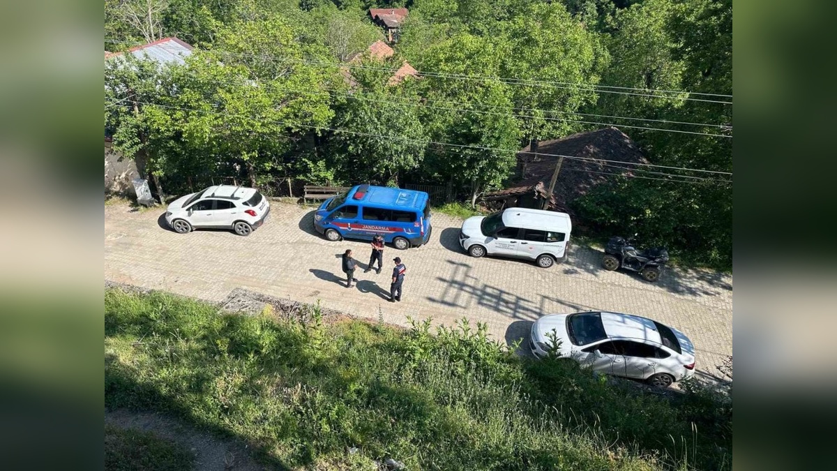 Karabük'te iki köpek telef edildi