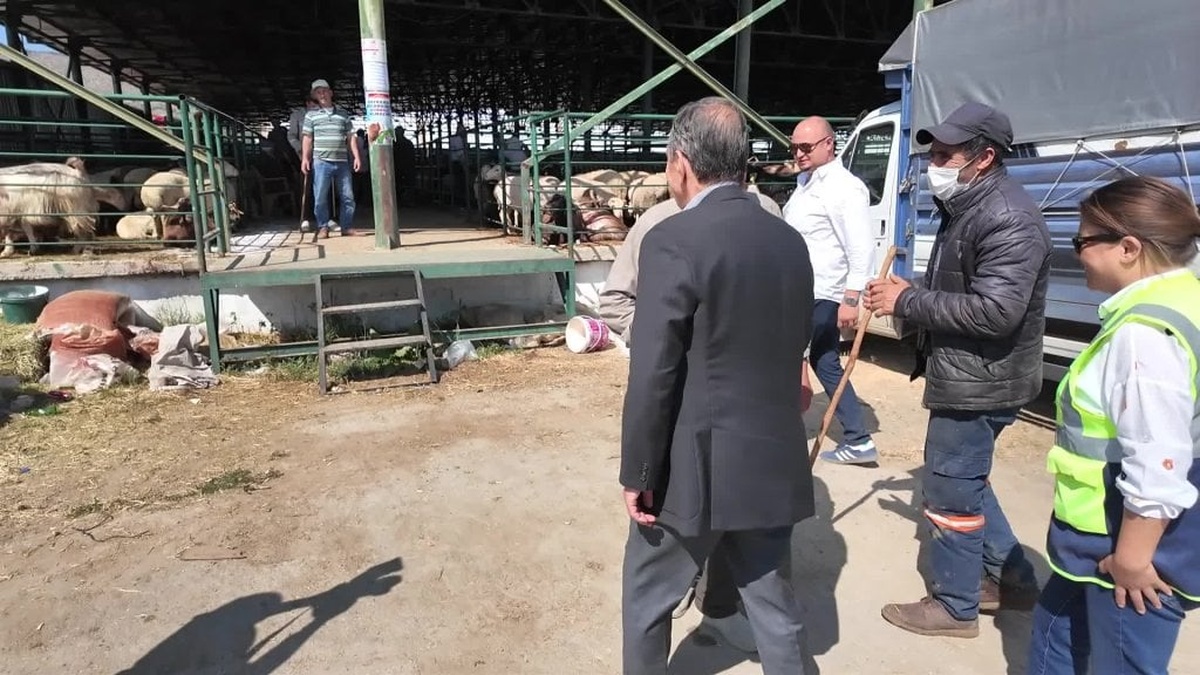 Tepebaşı Belediye Başkanı Ataç, Kurban Bayramı öncesi hayvan pazarını ziyaret etti