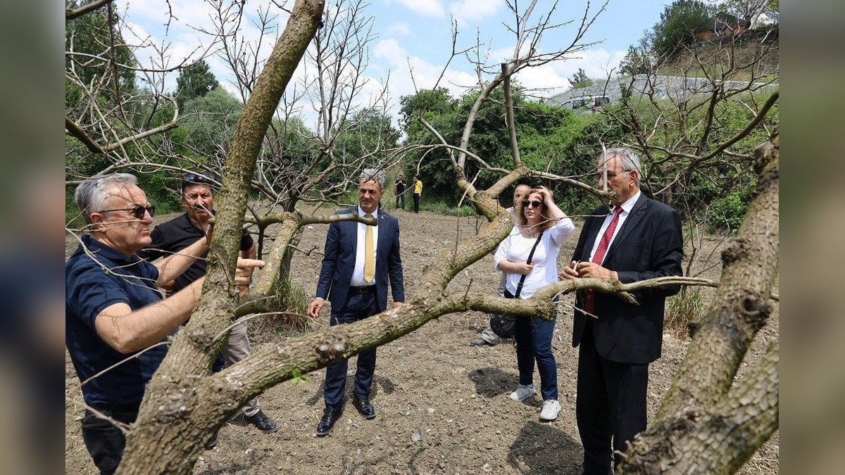 Bilecik'te çiftçilere don zararıyla mücadele eğitimi verildi