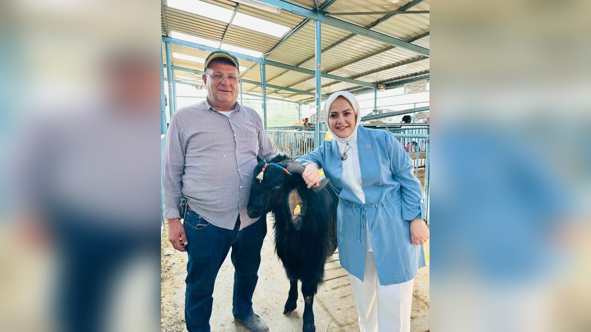 Milletvekili Ün, Denizli canlı hayvan pazarını ziyaret etti: "Örnek bir tesis"