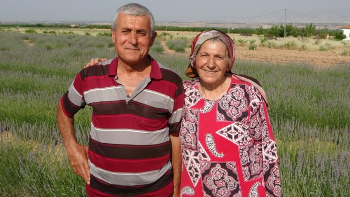 İnternetten gördüler, lavanta üreticisi oldular