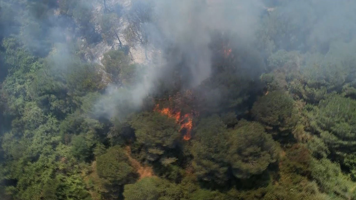 İstanbul'da kent ormanında yangın! Vatandaşlar tahliye edildi