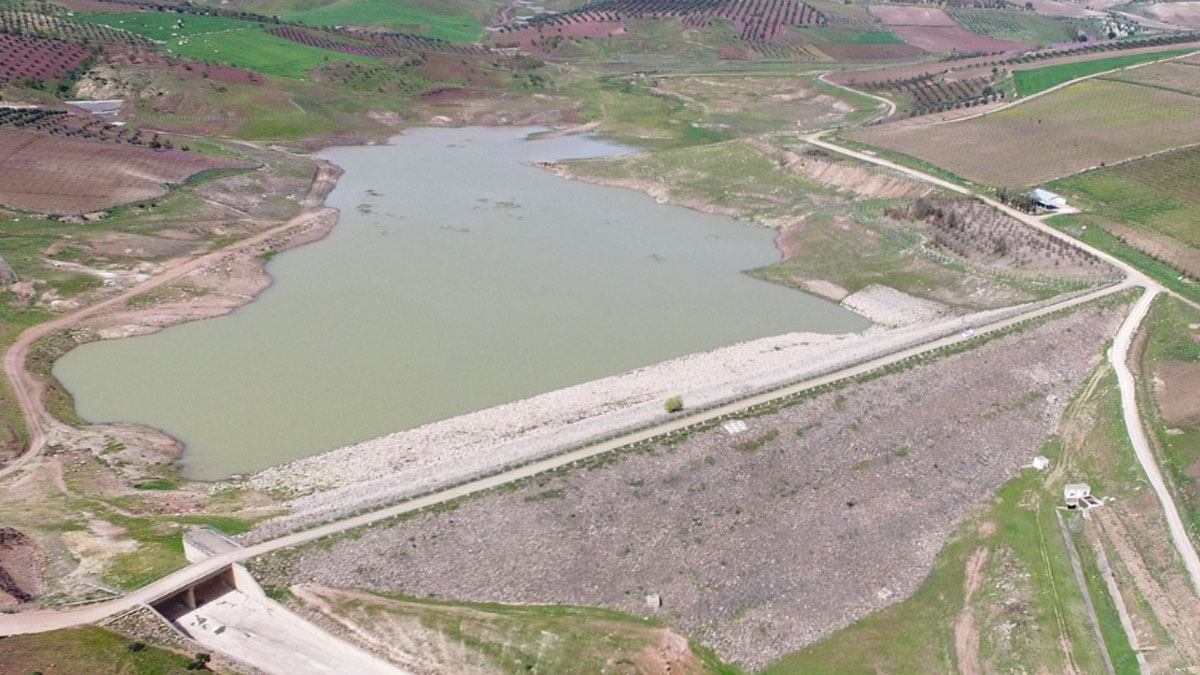 Kuraklık kapıda! Binlerce balık telef oldu