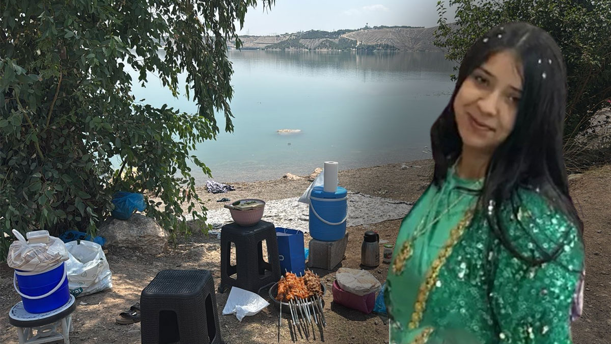 Piknik keyfi faciayla bitti!