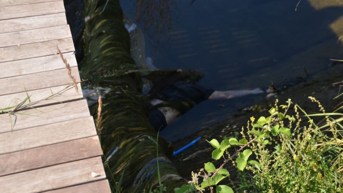 Sulama kanalında kadın cesedi !