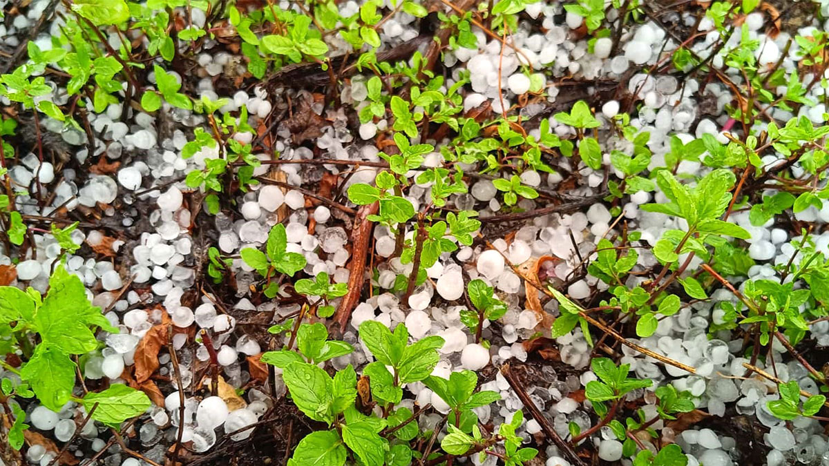 Temmuz ortasında dolu yağdı