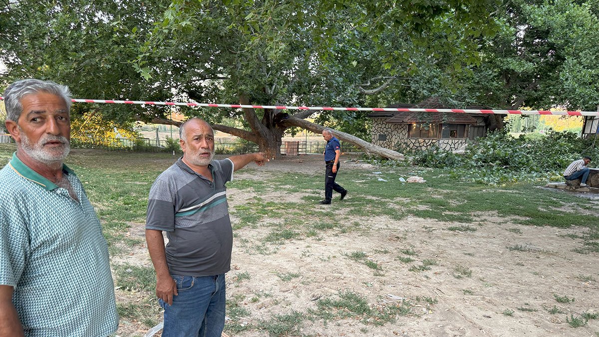 Dev ağacın dalı üzerlerine devrildi!