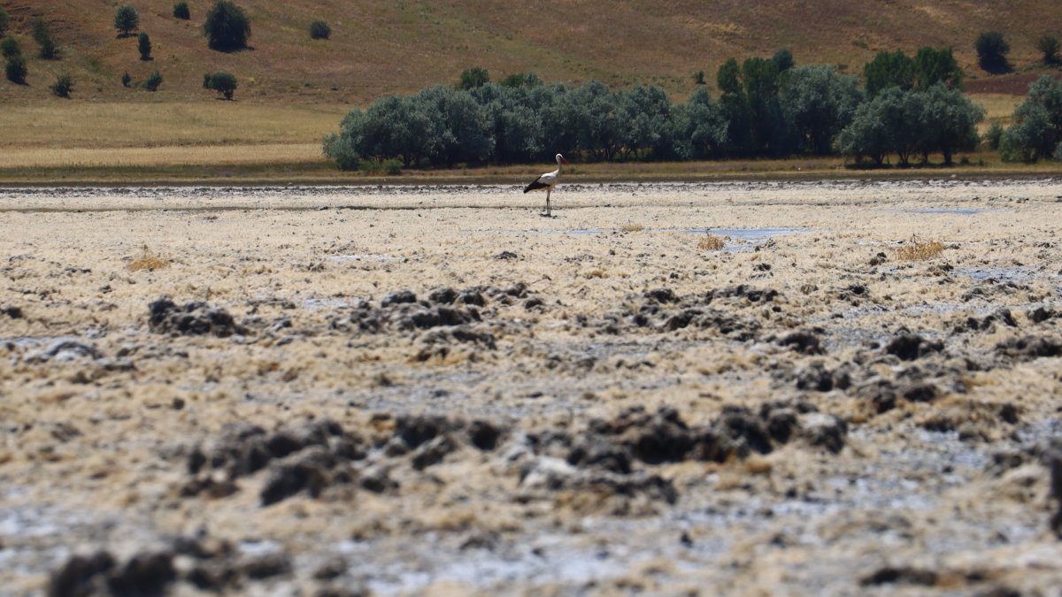 Türkiye'nin gölleri birer birer kuruyor