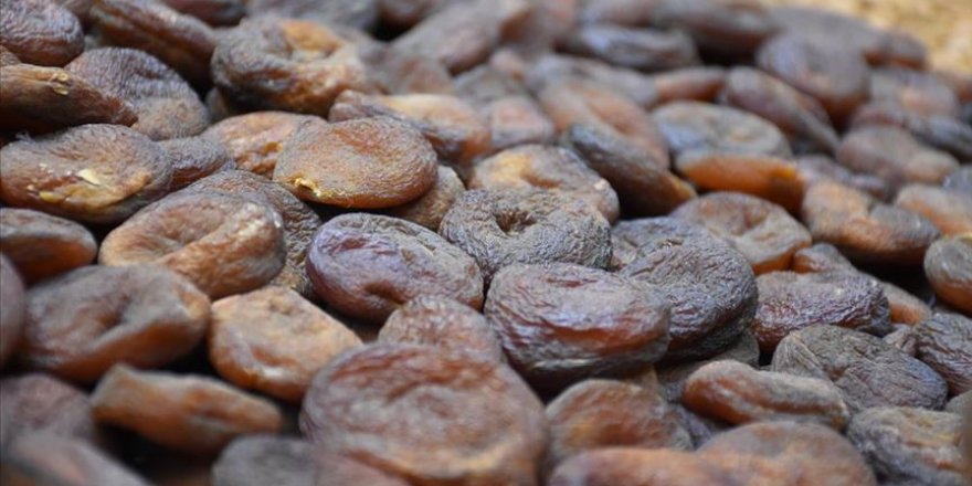 Malatya'dan mart ayında 23 milyon 411 bin dolarlık kuru kayısı ihracatı