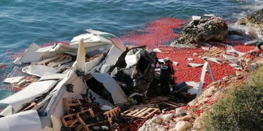 Mersin'de domates yüklü tır denize düştü: 1 ölü