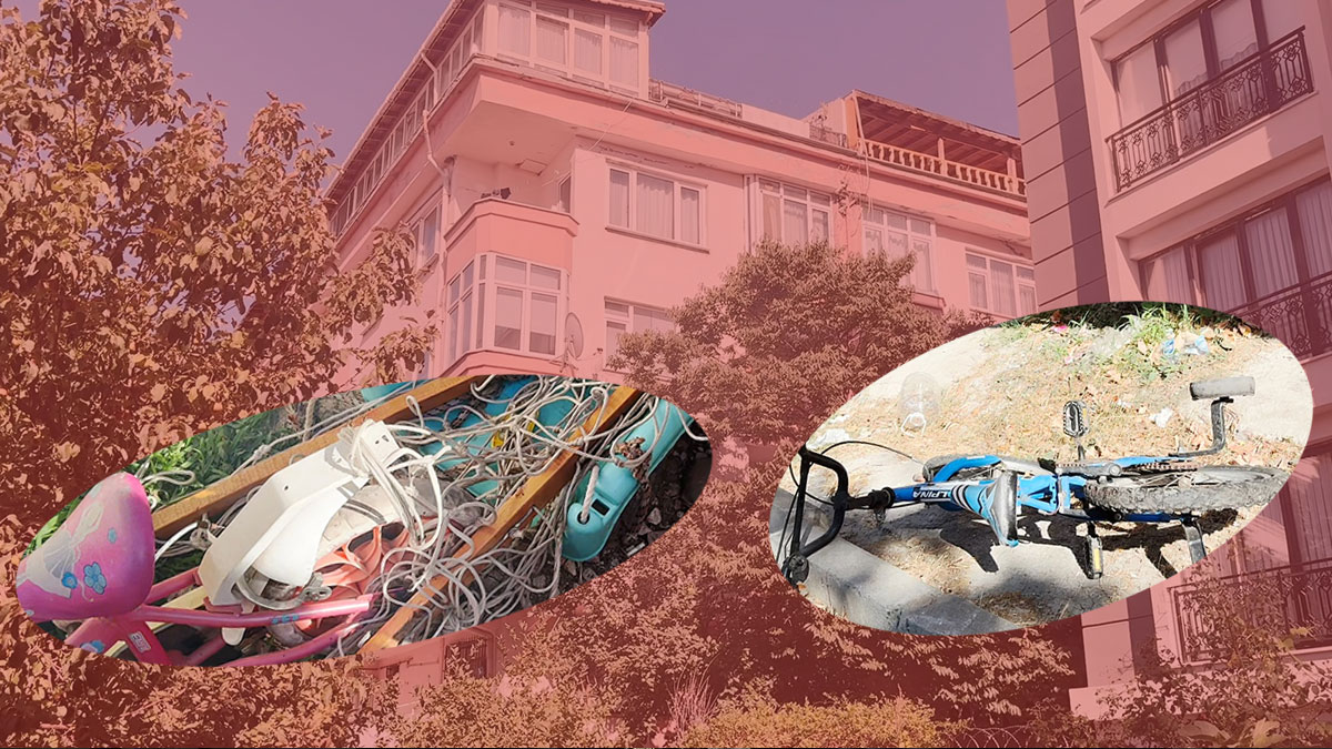 Çocukların kabusu oldu! Sesten rahatsız oldu terör estirdi