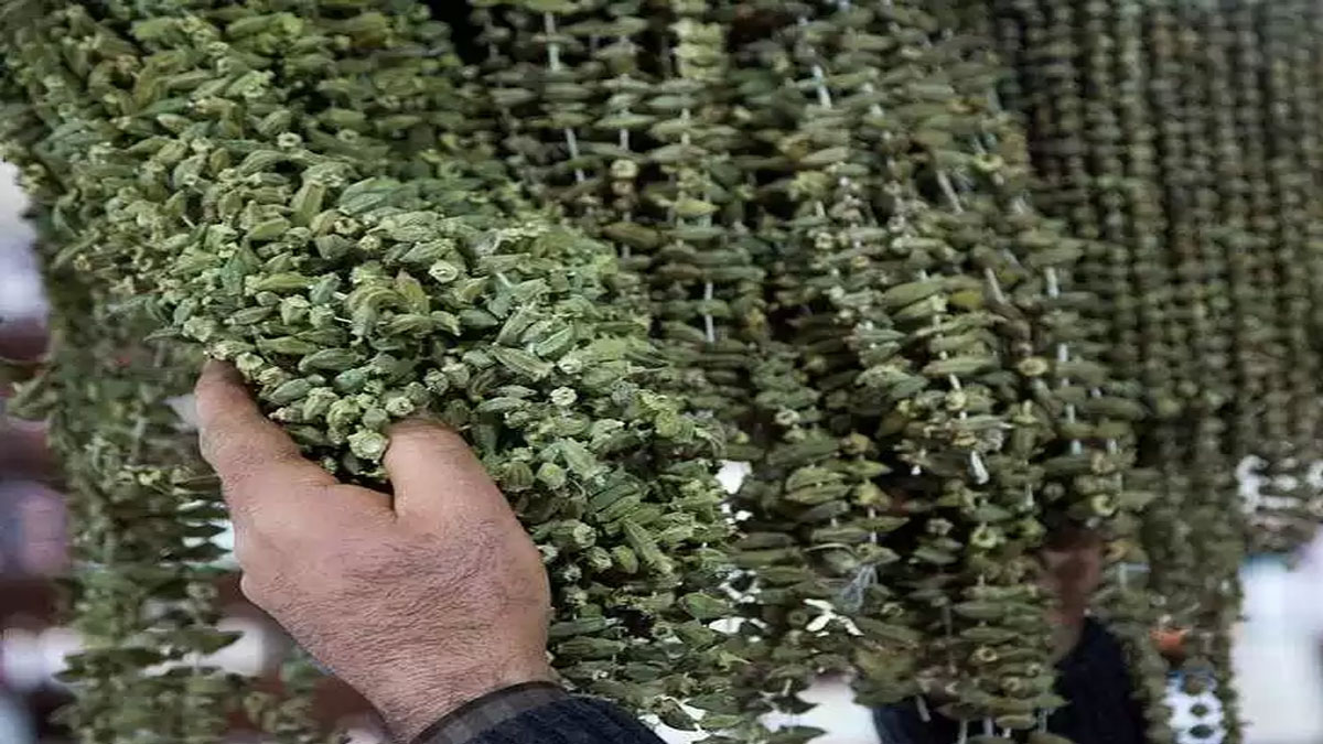 Altınla yarışıyordu! Fiyatında ciddi düşüş yaşandı