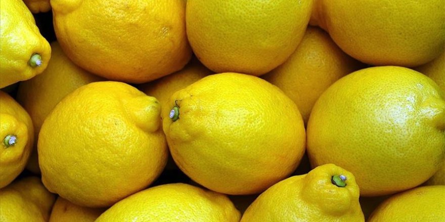 Limon fiyatlarına ihracat ayarı
