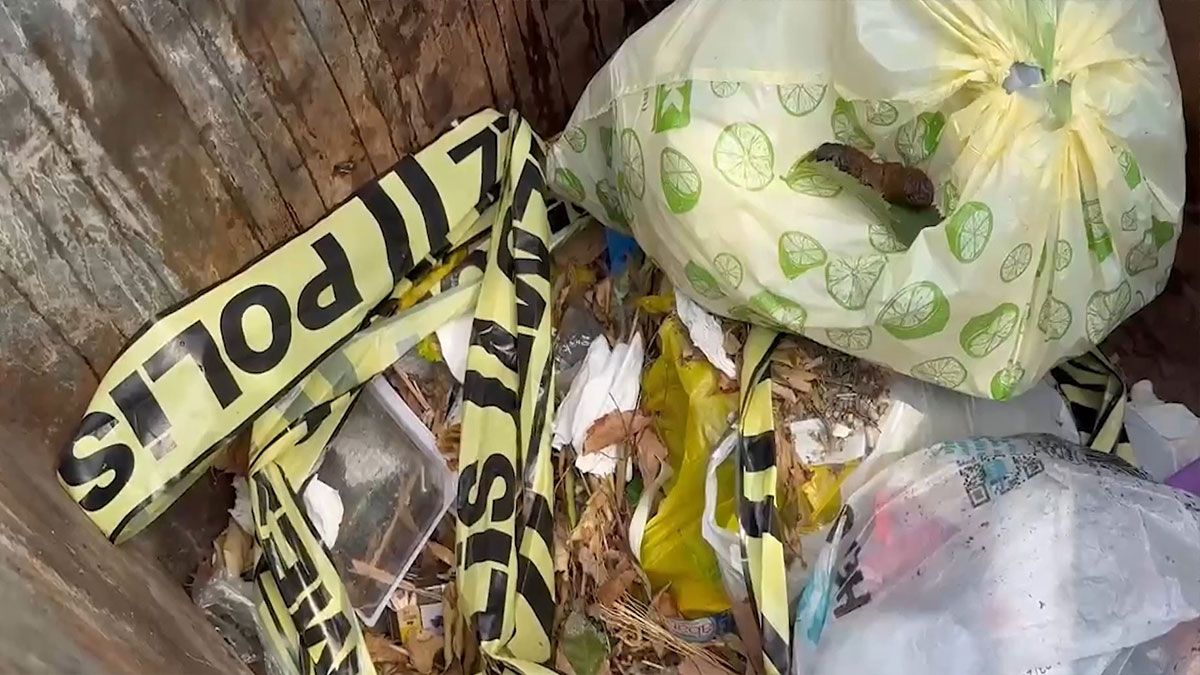 Bebeğini doğar doğmaz çöpe atmıştı! O cani yakalandı