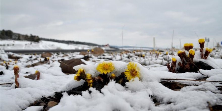 Kars’ta nisanda yağan kar güzel manzaralar oluşturdu