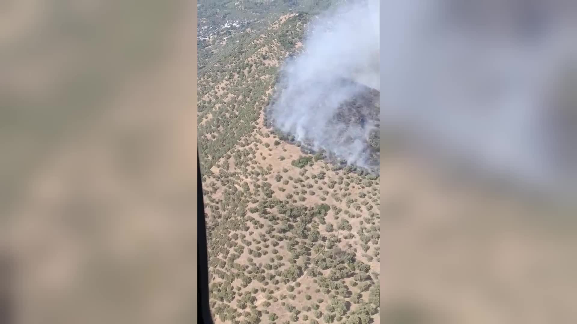 Ege'de korkutucu yangın