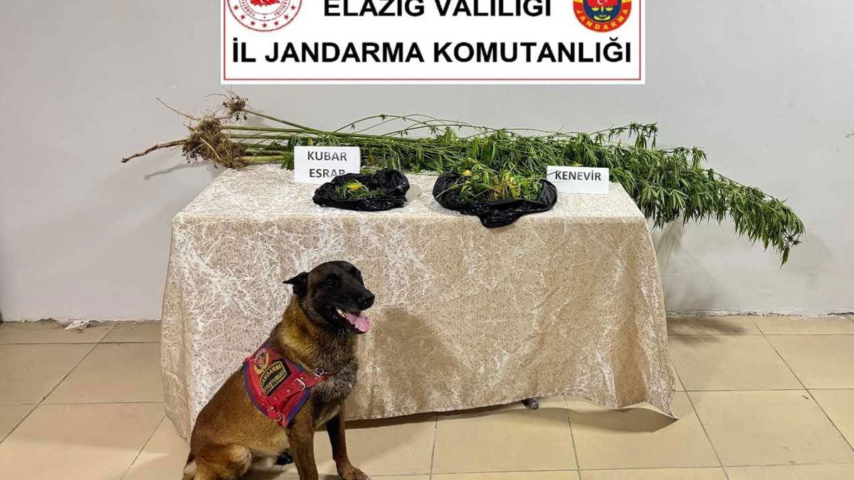 Elazığ'da büyük operasyon