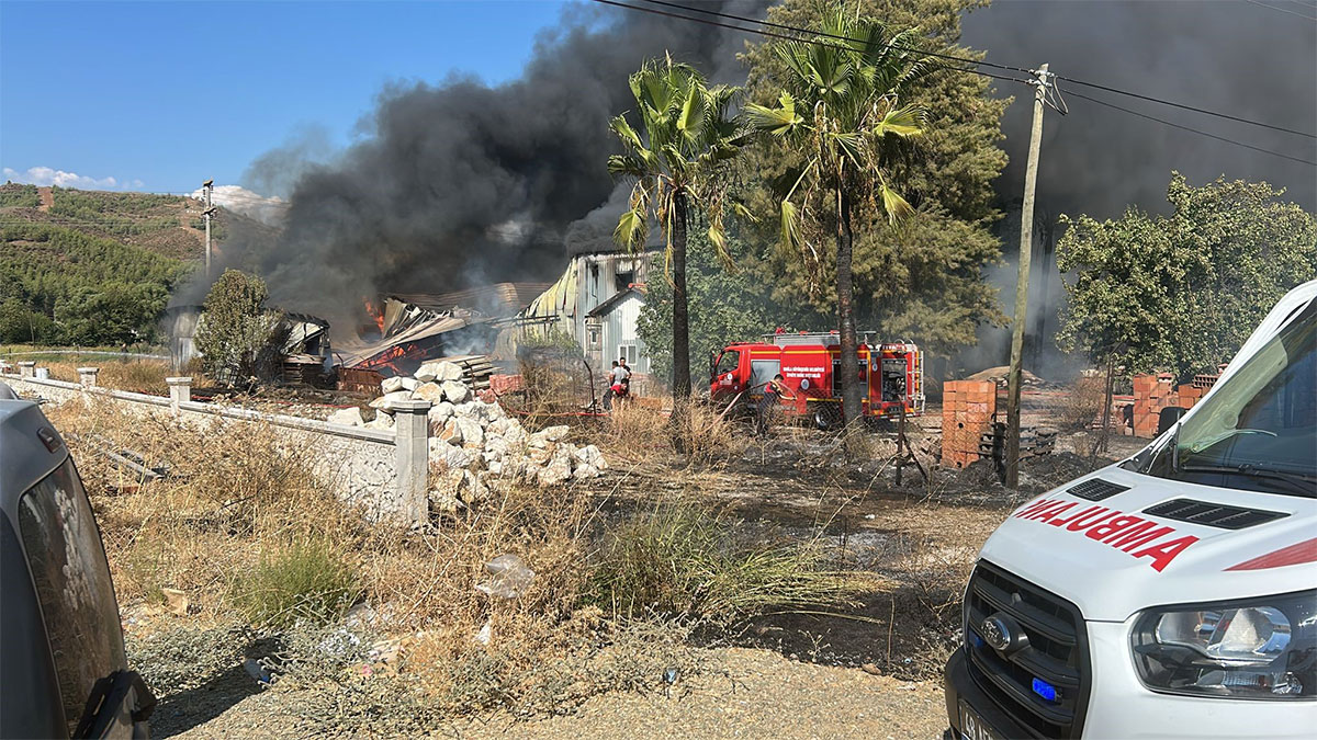 Muğla'da yangın