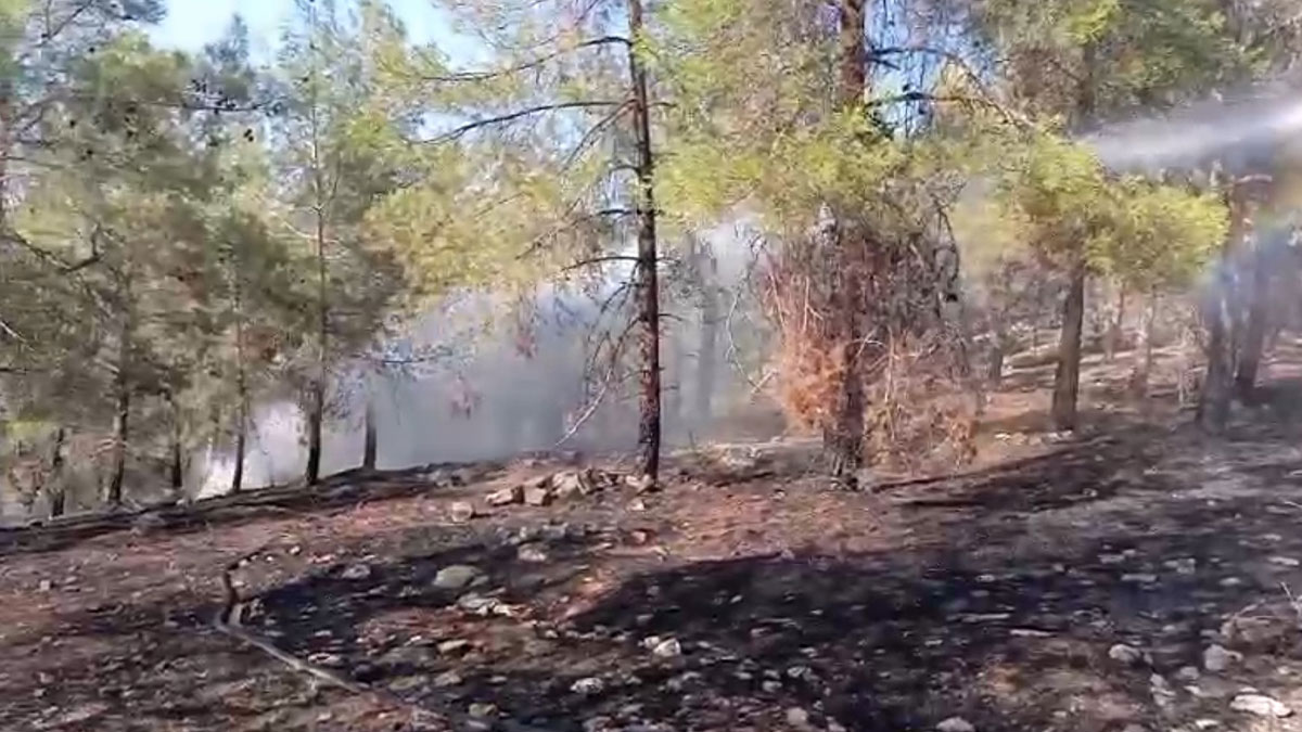 Karaköprü'de orman yangını