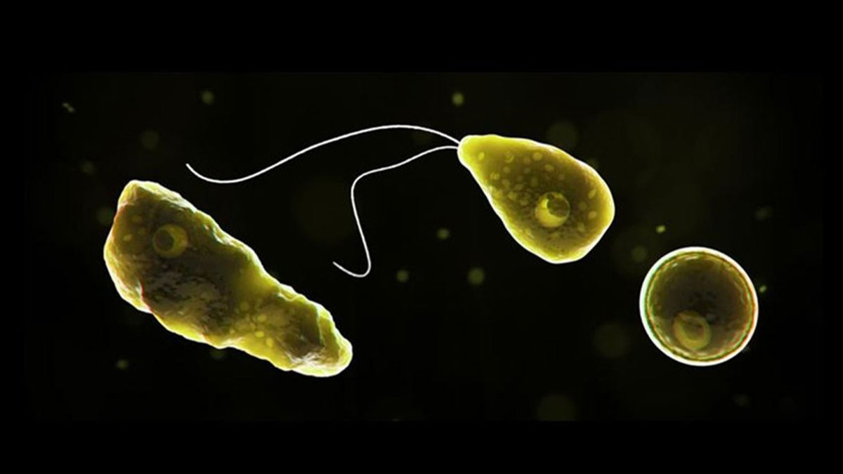 Yeni enfeksiyon 19 can aldı!