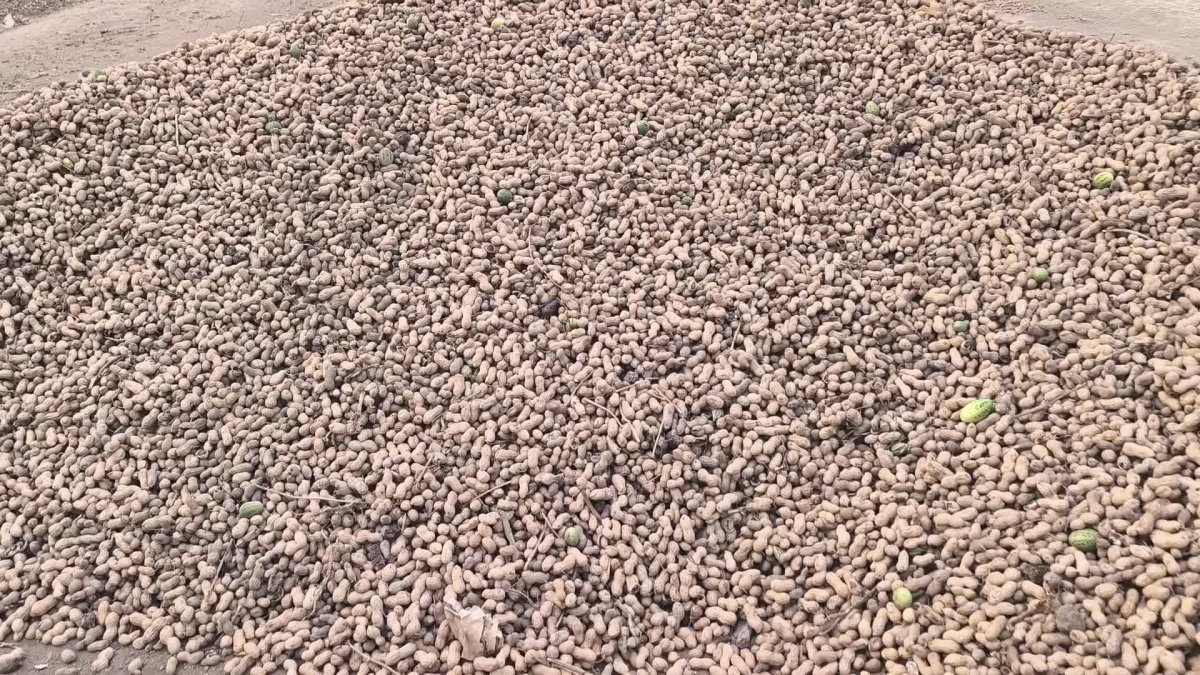 Çiftçiler sahipsiz, sesimiz duyulmuyor!