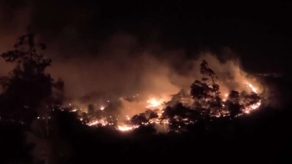Muğla'da gece 7 orman yangını! Ekipler seferber oldu