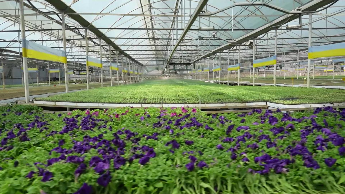 Büyükşehir Belediyesi Başkan Vekili Özdemir, bitki üretim tesisinde incelemelerde bulundu