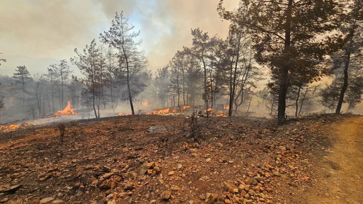 Muğla'da orman yangınlarına hızlı müdahale