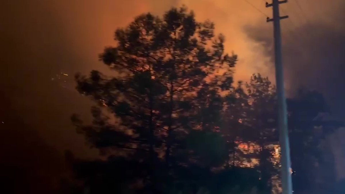 Antalya'da büyük yangın, başkan vekili incelemede