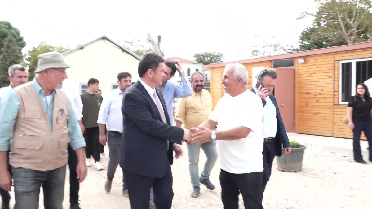 Osmangazi Belediyesi organik ata tohumu hasatını sürdürüyor