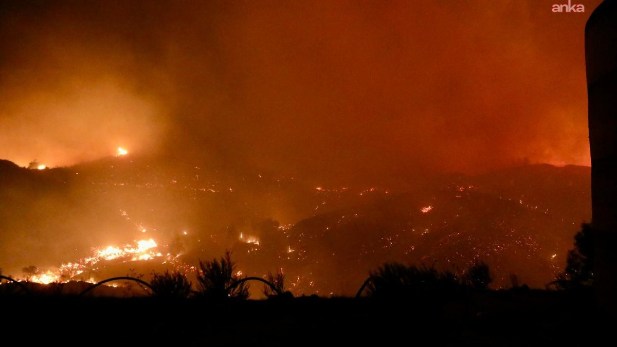 Alanya'da orman yangını ehlileştirildi