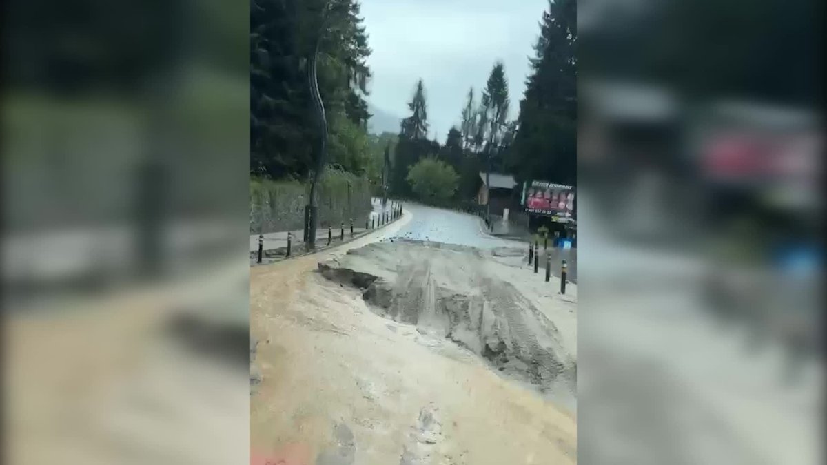 Sel ve heyelandan kaçan yavru ayılar tünelde görüntülendi